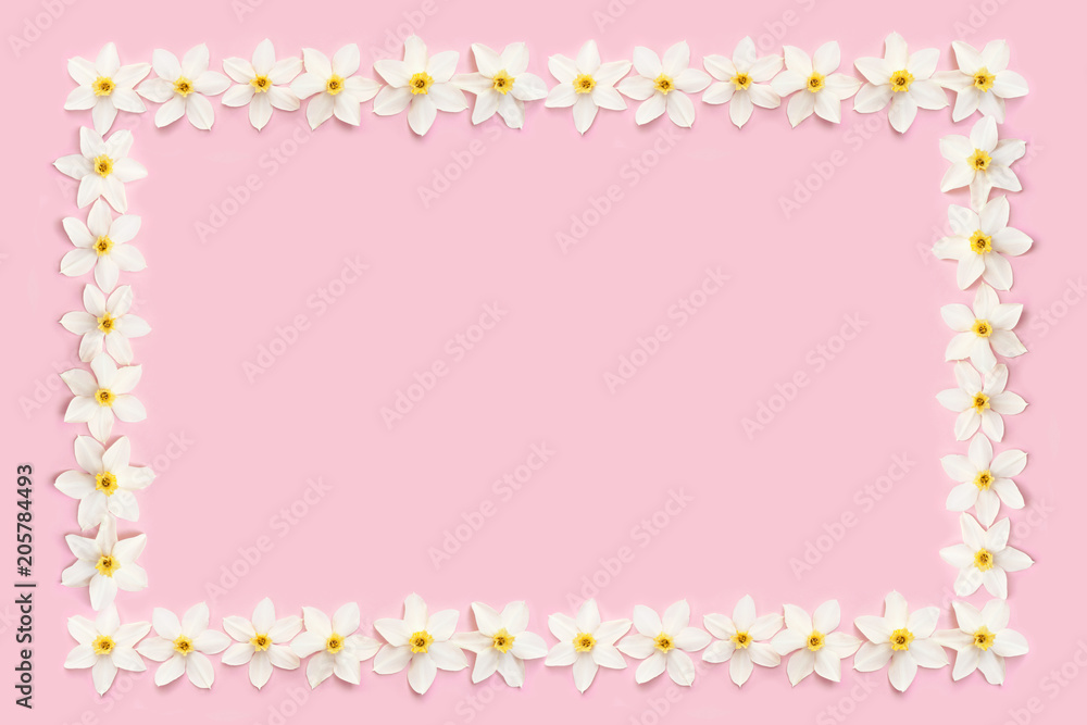White daffodils on a pastel pink background.