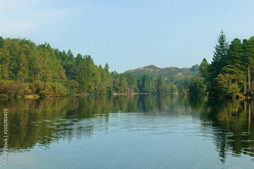 Tarn Hows, English Lake District, Trees, Lake and distant mountains