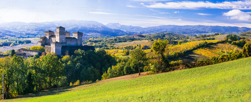 Medieval castles and wineyards of Italy - Castello di Torrechara (Parma) - obrazy, fototapety, plakaty 