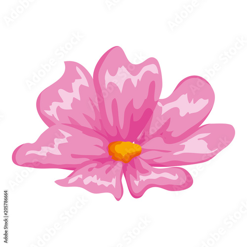 beautiful flower decorative icon vector illustration design