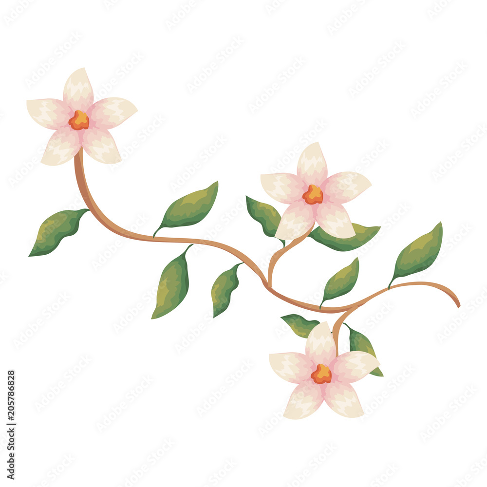 Fototapeta premium flower and leafs decorative icon vector illustration design