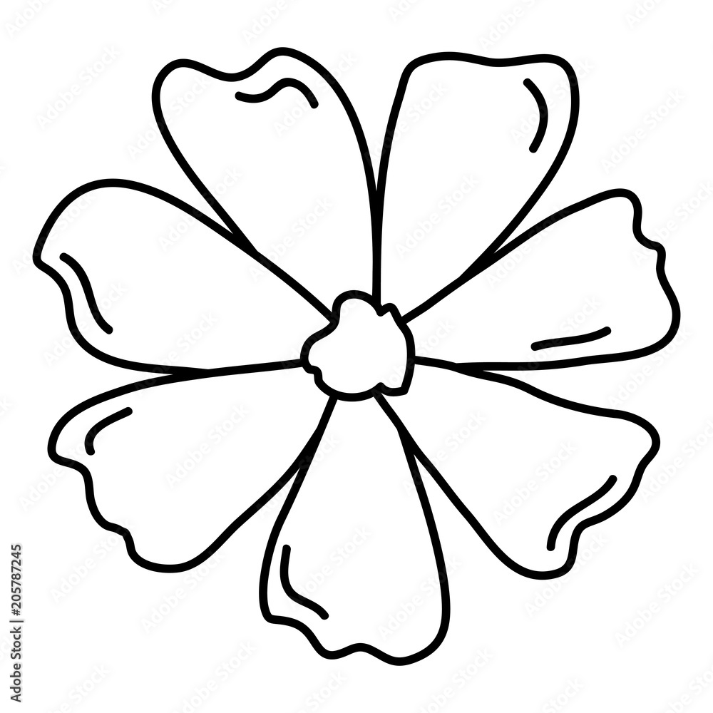beautiful flower decorative icon vector illustration design beautiful flower decorative icon vector illustration design