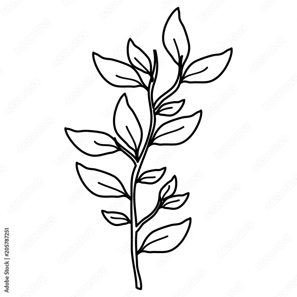 branch with leafs decorative icon vector illustration design branch with leafs decorative icon vector illustration design
