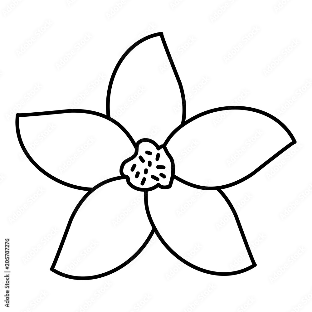 beautiful flower decorative icon vector illustration design beautiful flower decorative icon vector illustration design
