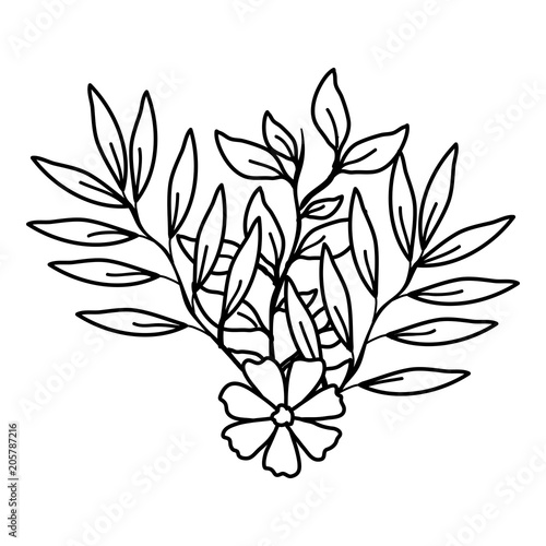 flower and leafs decorative icon vector illustration design © Gstudio