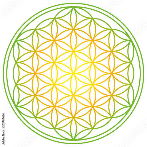 Flower of Life with spring energy colors. Geometrical figure, spiritual symbol and Sacred Geometry. Overlapping circles forming a flower like pattern with symmetrical structure. Illustration. Vector.