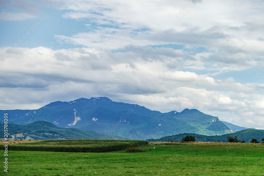 Naklejka premium Typowy krajobraz naturalny w kraju Suczawa: zielone pola i góry na horyzoncie, Rumunia.