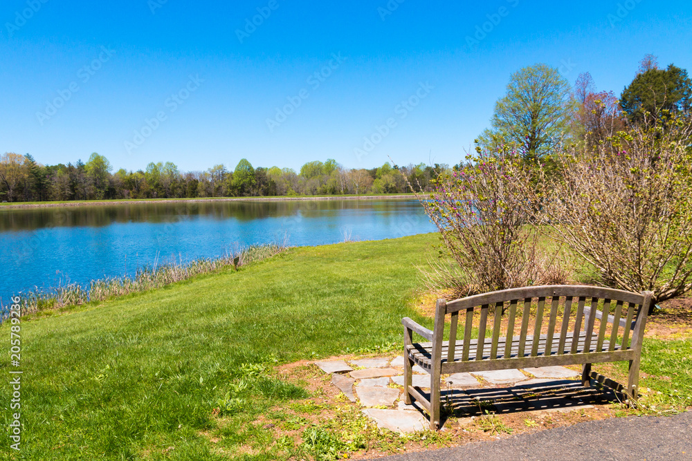 Bench near the bautiful lake with forest reflection on sunny spring day.