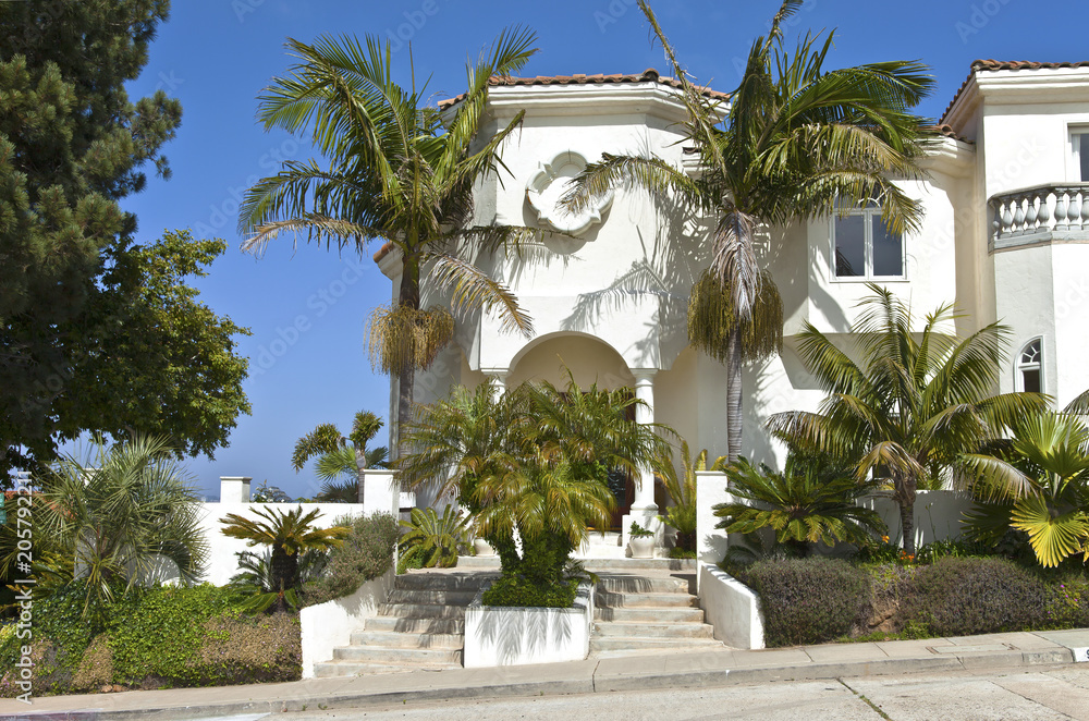 Large house with palm trees;