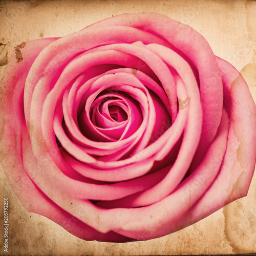 Vintage old paper background