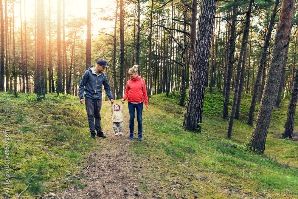 family walk in the forest family walk in the forest