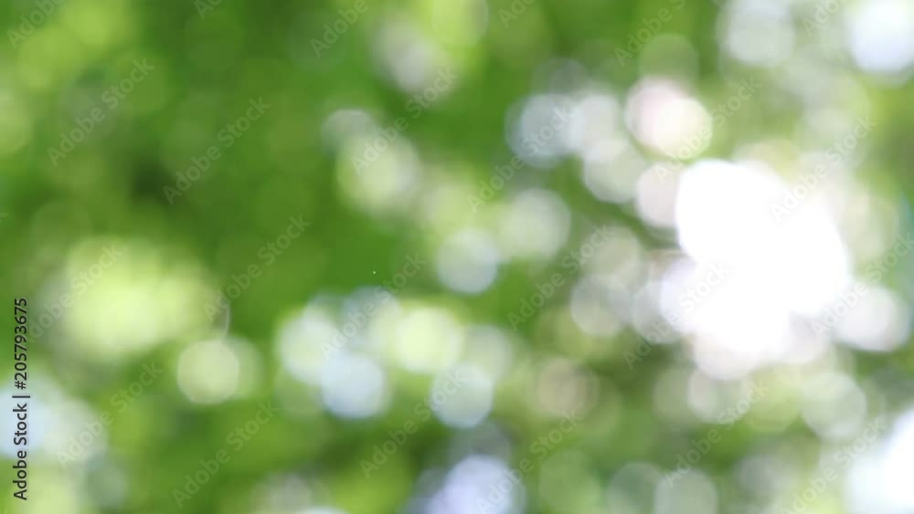Defocused bokeh lights and lens flare, abstract light background.
Defocused bokeh lights and lens flare, abstract light background.