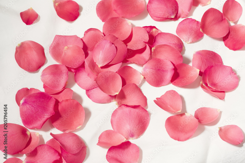 Rose petals Rose petals