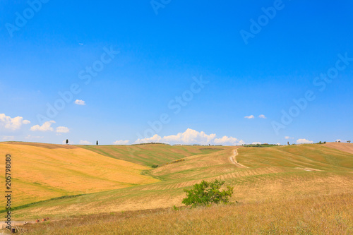 Tuscany hills landscape  Italy
