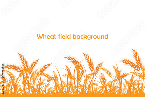 Vector silhouette of wheat. Wheat in the field