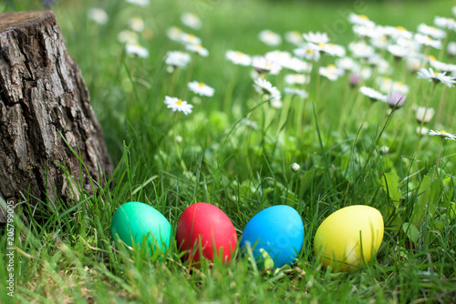 Four Easter colorful eggs in a row