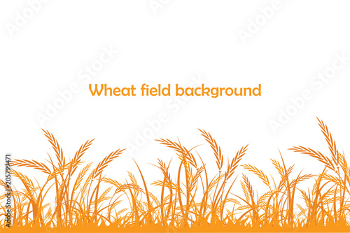 Vector silhouette of wheat. Wheat in the field