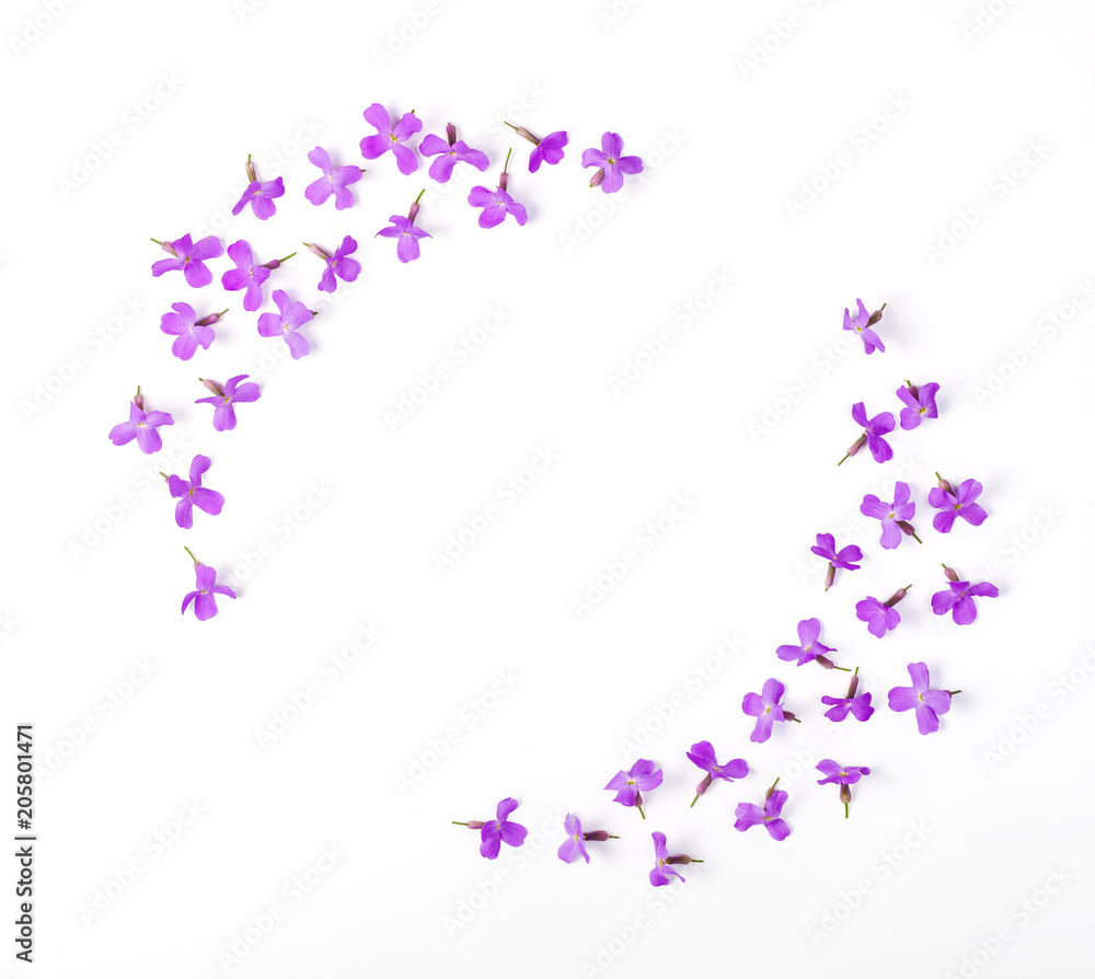 Round frame wreath made of meadow flowers isolated on white background. Top view. Flat lay. Round frame wreath made of meadow flowers isolated on white background. Top view. Flat lay.