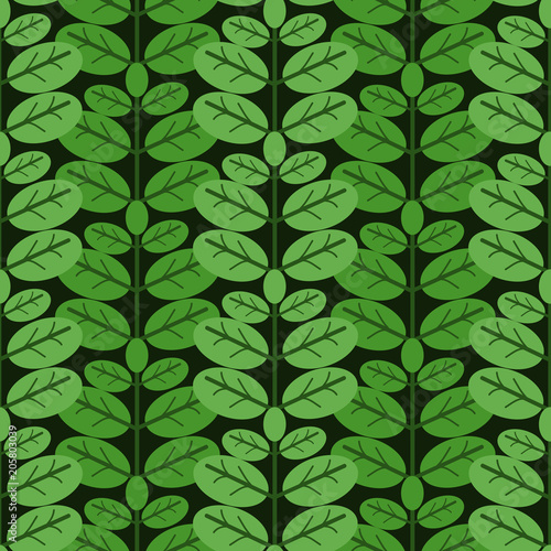 Seamless basil pattern
