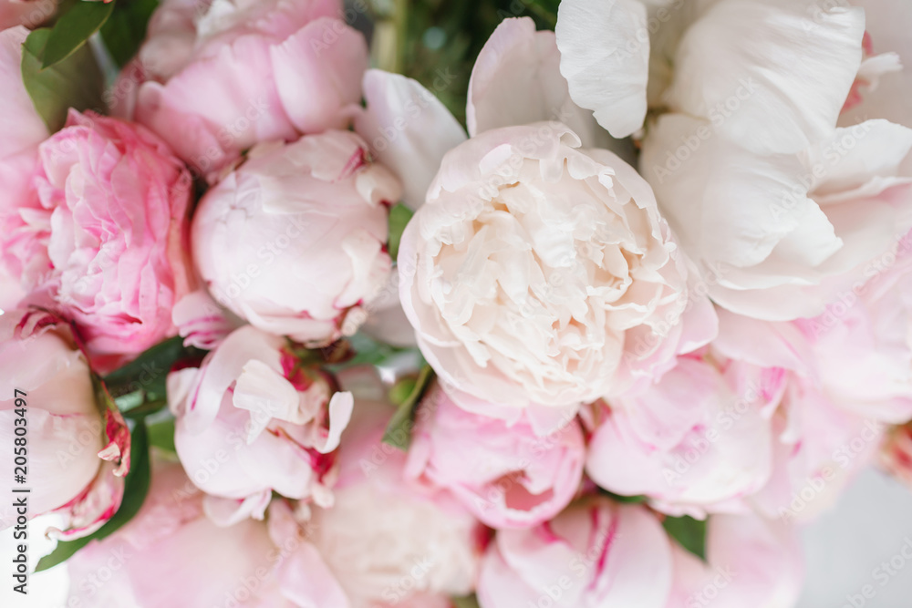 Fototapeta Piękne kwiaty w szklanym wazonie. Piękny bukiet białe i różowe peonie. Kompozycja kwiatowa, światło dzienne. Tapeta letnia. Pastelowe kolory