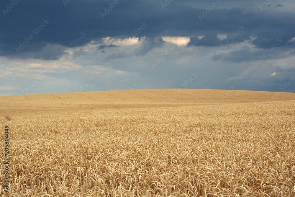 Landscape near Straznice, eastern Moravia, Czech republic, Europe