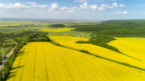 Aerial view of colorful rapeseed field in spring with blue sky in Ukraine.