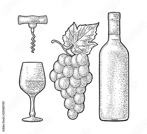 Wine set. Bottle, glass, corkscrew, bunch of grapes