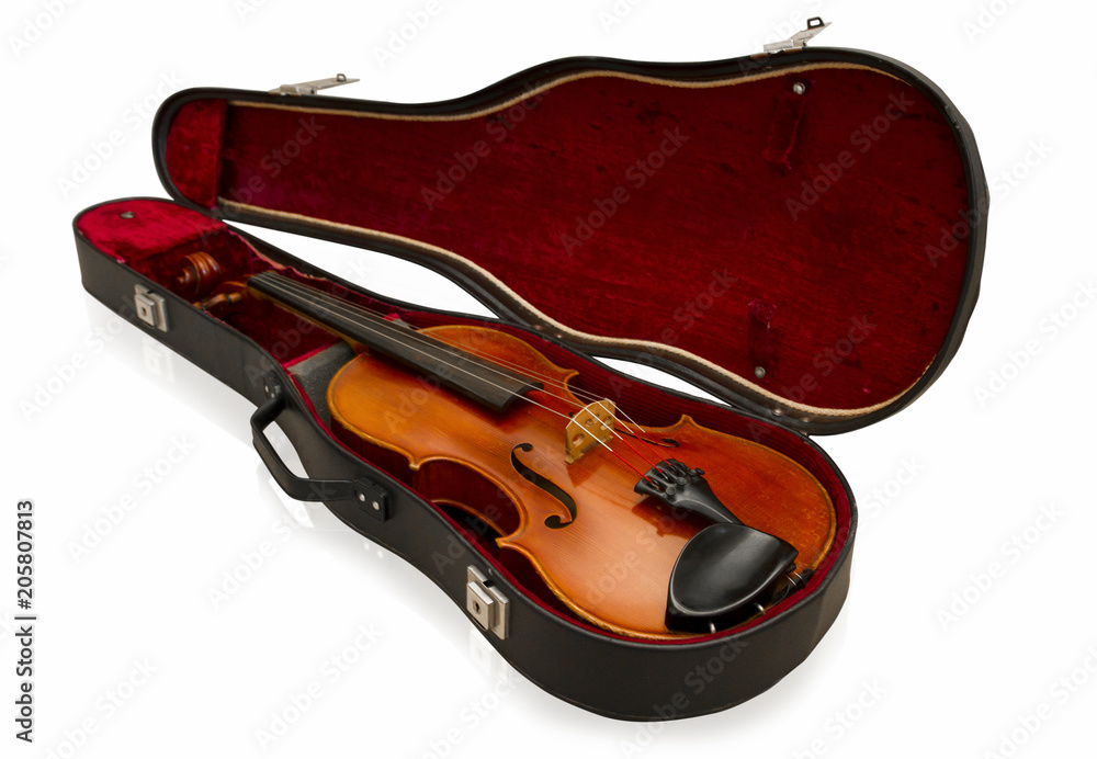 Obraz premium Violin in bag - Stock Image