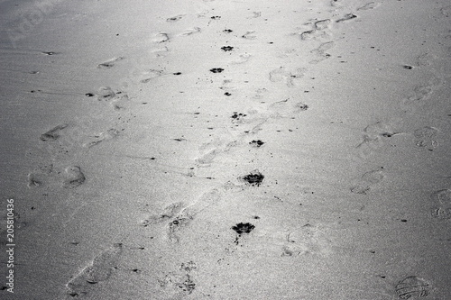 A walk on the beach