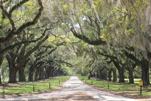 A long path