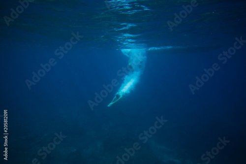 Fototapeta partial view of man diving into ocean