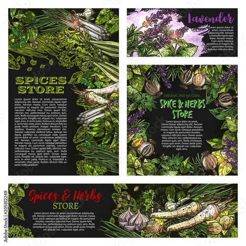Spices and herbs vetctor store sketch posters