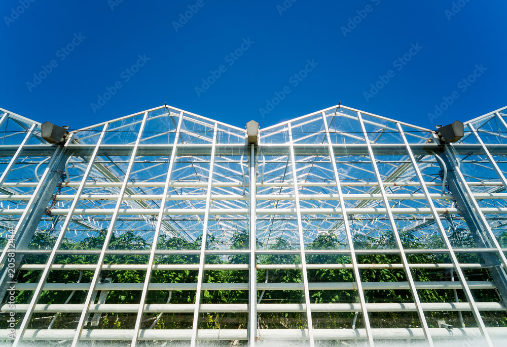 Modern glass greenhouses against the blue sky. Modern glass greenhouses against the blue sky.