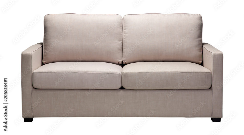 Obraz premium Flinn Bone Sofa Bed