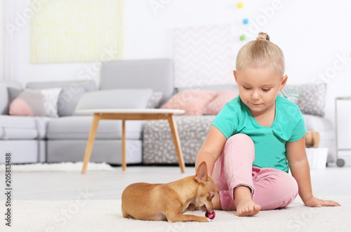 Little girl with cute dog a...