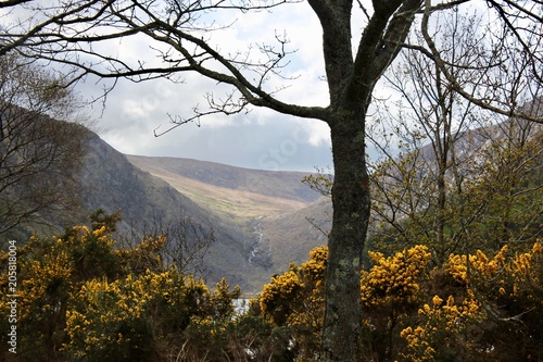 Glendalough Upper Lake Wicklow Mountains Ireland