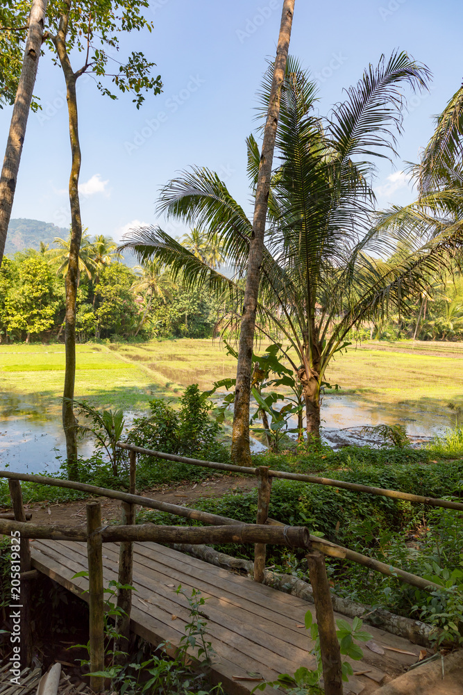 Borobudur, Java, Indonesia