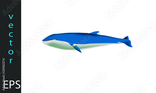 balena2