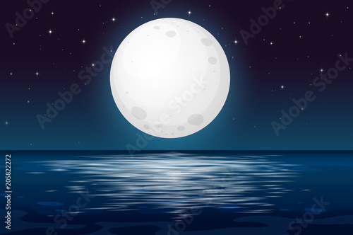 A Full Moon Night at the Ocean photo