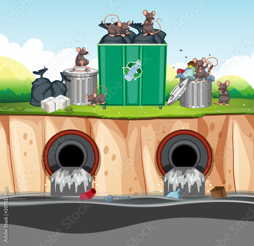 Unsanitary Waste Disposal with Rat