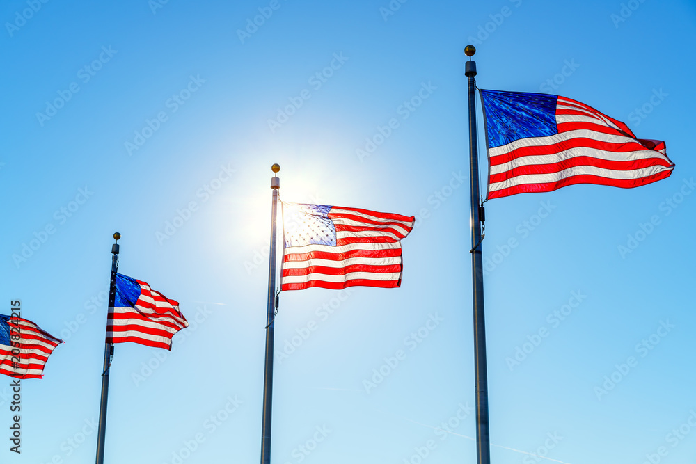 Flags of the United States waving over blue sky in Washington DC Flags of the United States waving over blue sky in Washington DC