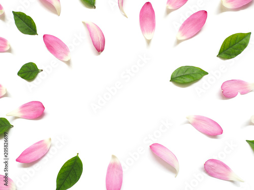 Fototapeta Naklejka Na Ścianę i Meble -  Top view of lotus petals with green leaves and yellow pollen on white background