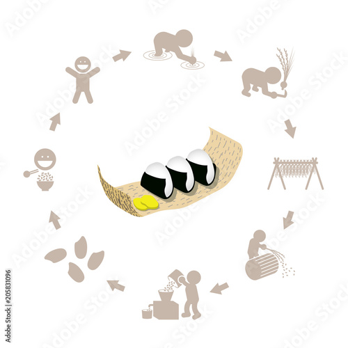 おにぎりとお米の生産のイラスト