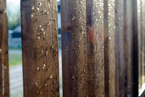 wooden fence with waterdrops after rain