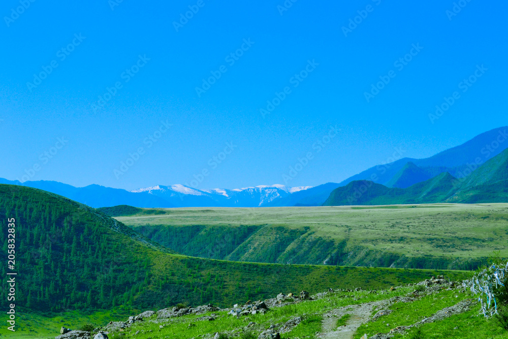 Mountain green plateau