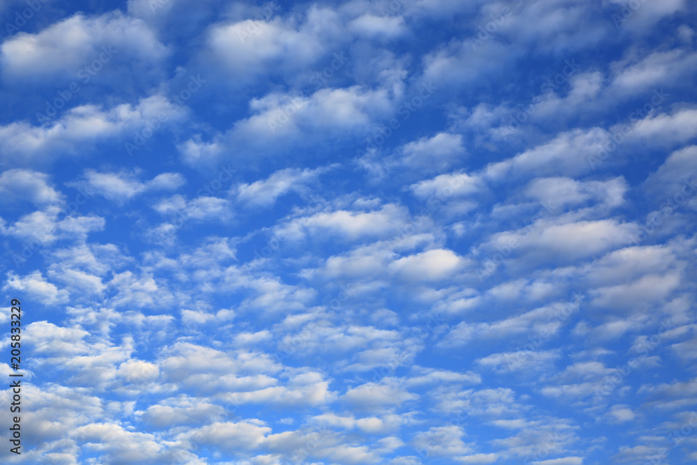 Sky and puffy clouds background. Sky and puffy clouds background.