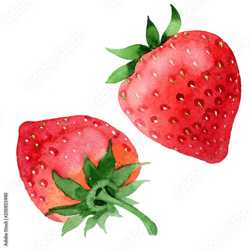Red strawberries healthy food in a watercolor style isolated. Full name of the fruit: strawberry. Aquarelle wild fruit for background, texture, wrapper pattern or menu.