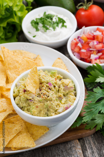 guacamole sauce and corn chips, vertical