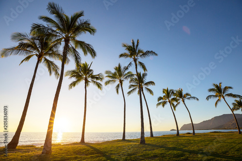 Fototapeta Naklejka Na Ścianę i Meble -  Hawaiian beach