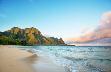 Papier peint photo Océanie Côte tropicale de Kauai à Hawaï  © Galyna Andrushko